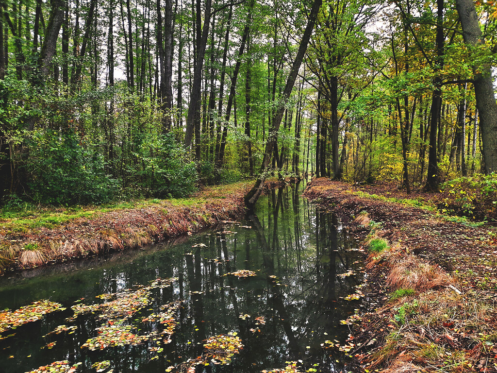 Stadt Forst (Lausitz) Wandertour Euloer Teiche Jamnoer Teiche